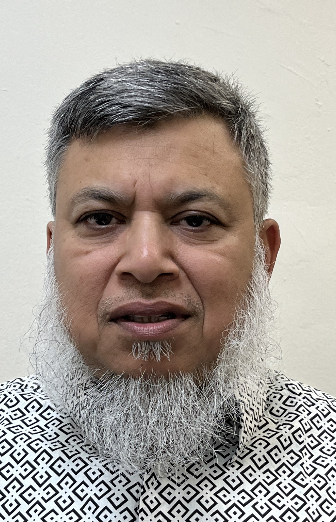Arif Mohammed M